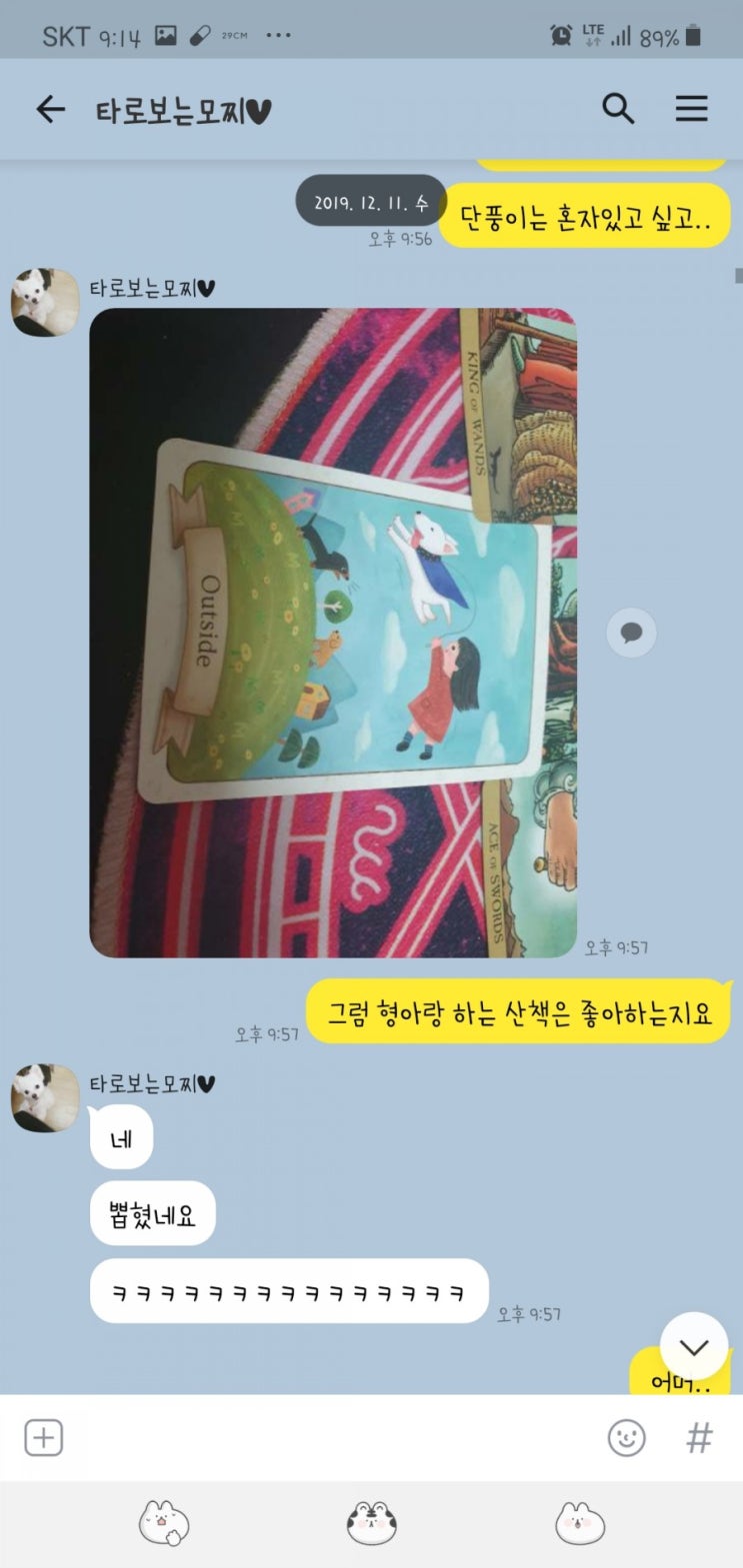  타로보는모찌님의 펫타로 후기 , 강단풍 강나무