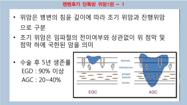  펜벤다졸 후기(59)-12월 위암1편,위암치료효과사례