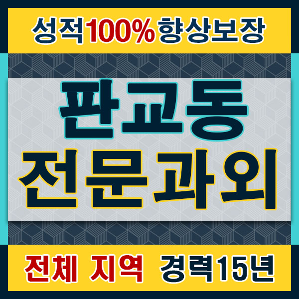  판교동토익 삼평동 영어회화 죽전 유아파닉스 기초 중국어 일본어과외 수업