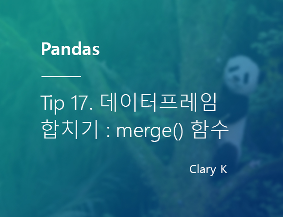 [파이썬] 판다스(pandas) 팁17. 데이터프레임 합치기 : merge() 함수