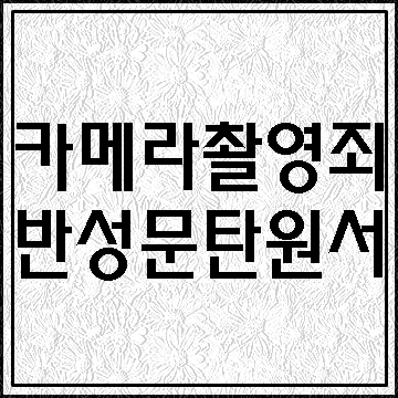  카메라등이용촬영죄 반성문 탄원서 알아보기