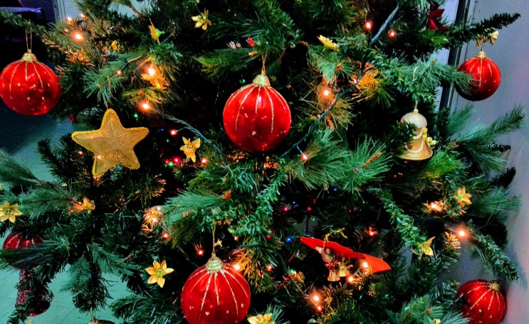  [팝송영어공부] Christmas Tree Farm _ Taylor Swift 뮤비/가사/해석/단어