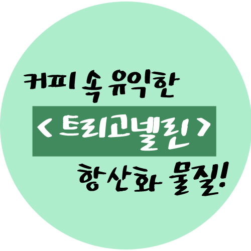  커피속 항산화성분 트리고넬린(Trigonelline)의 효능