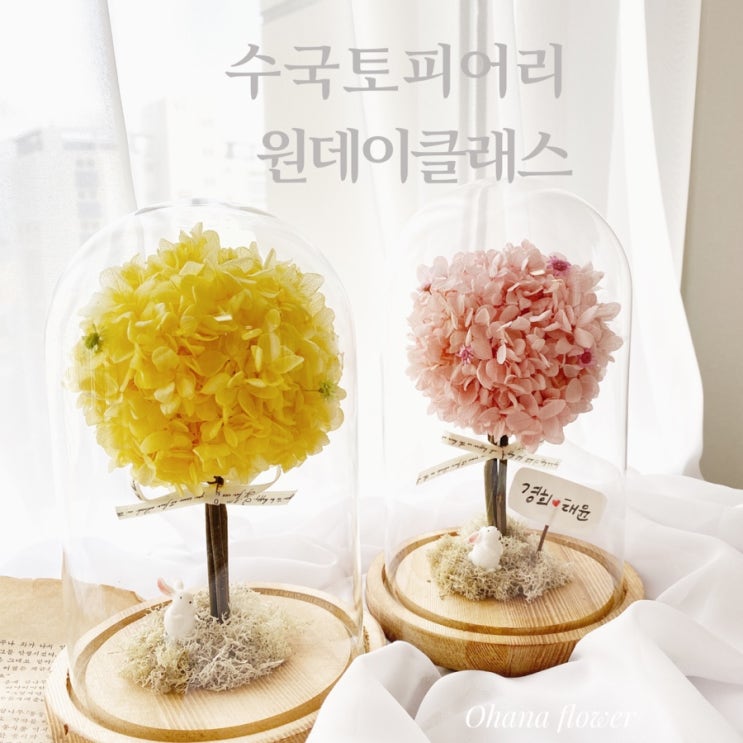 동글동글 매력적인 유리돔 수국토피어리 원데이클래스:: 부산 수영 광안 해운대 플라워스튜디오 Ohanaflower
