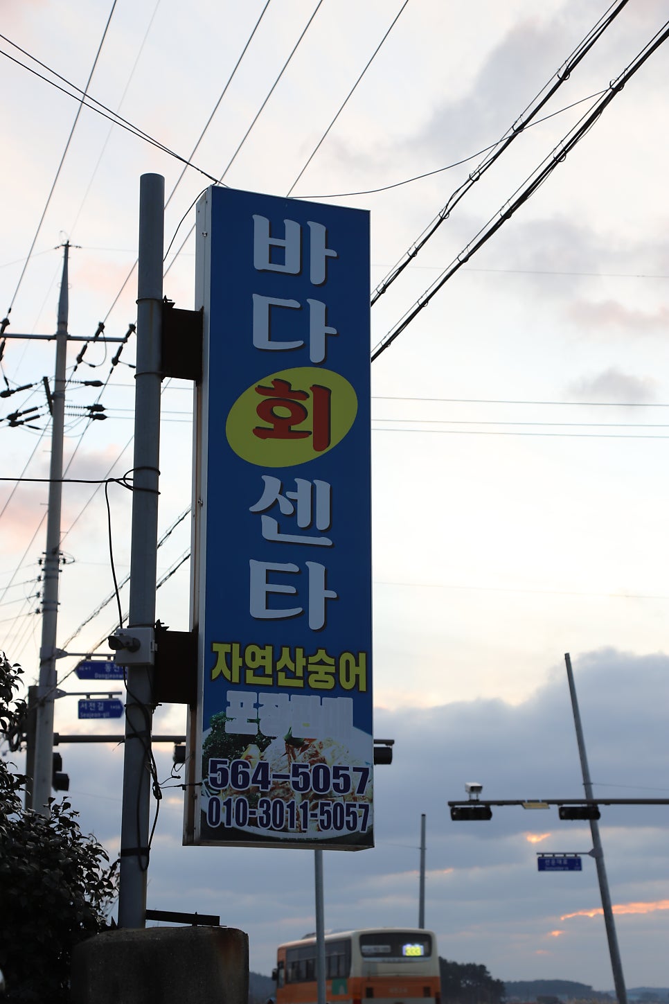 바다회센타 사진 2