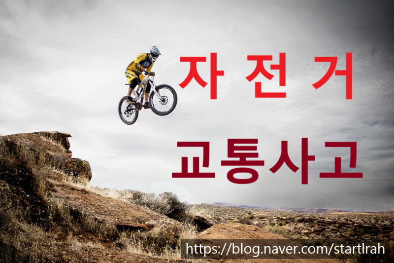 자전거 사고 애엄마 가격