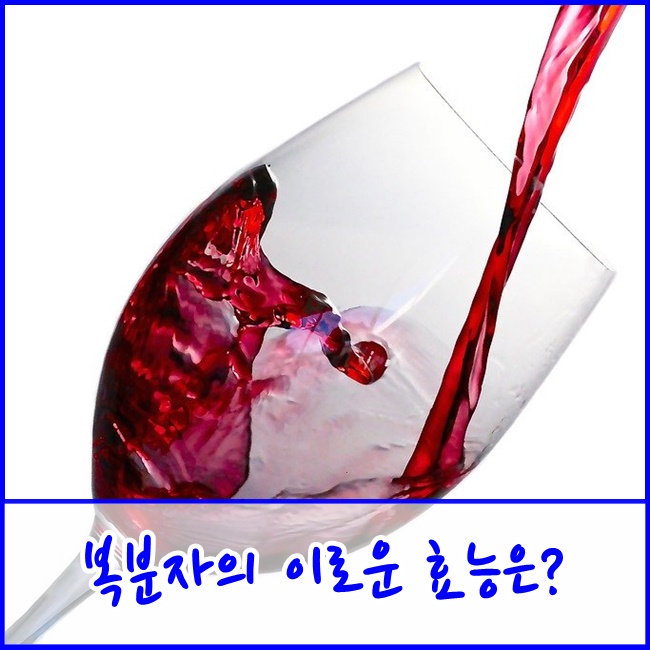  [금촌/파주주간보호센터] 복분자의 이로운 효능들은?