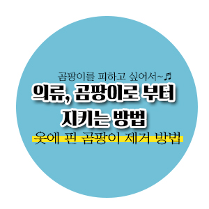  [살림노하우] 의류, 곰팡이로 부터 지키는 방법  (부제 : 옷에 핀 곰팡이 제거 방법)