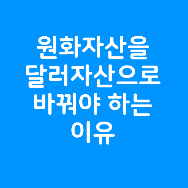  원화자산을 달러표시자산으로 바꿔야 하는 이유