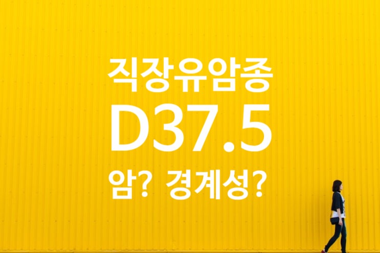  #직장유암종 D37.5진단, C20 악성신생물, LCELL TYPE?