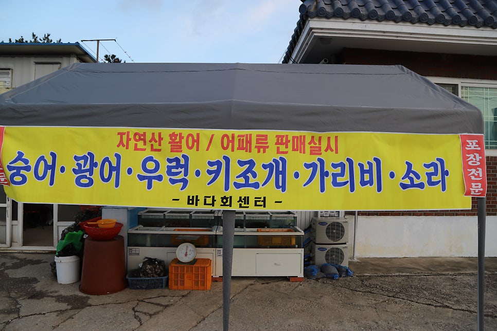 바다회센타 사진 4