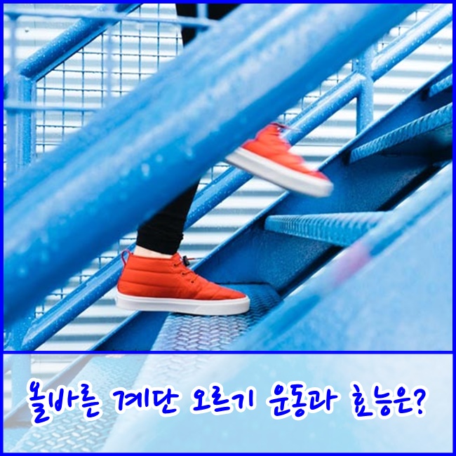  [교하/운정주간보호센터] 올바른 계단 오르기 운동과 효능은?