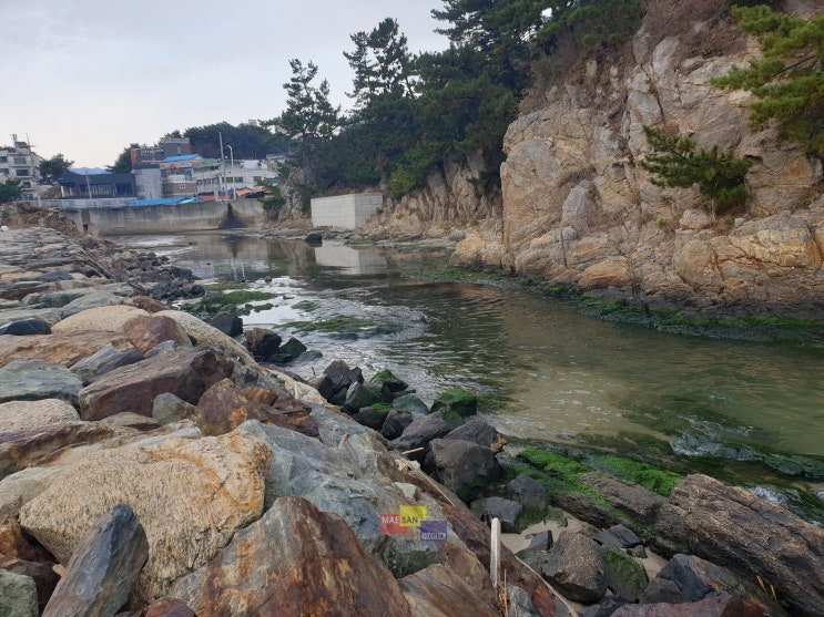 [전국 5일장 29번째] 경북 울진군 북면 흥부공설시장, 흥부5일장(1,6일장) : 소소한 전통 5일장, 바닷가를 바로 볼수 있는 전통 5일장입니다