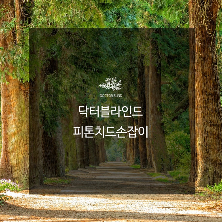  닥터블라인드의 피톤치드 손잡이로 실내공기질 개선 효과! [수원블라인드][일진블라인드]