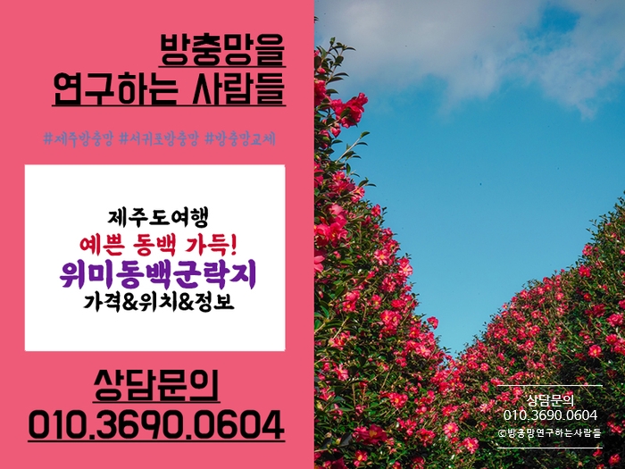  제주동백여행지 추천! 위미동백군락지 가격&위치&정보