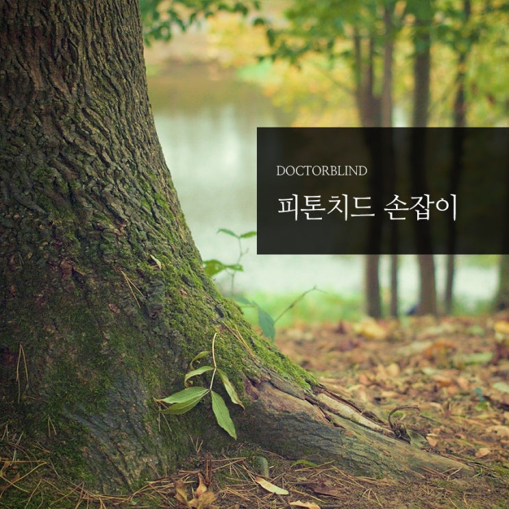  닥터블라인드의 매력! 피톤치드 블라인드 손잡이 [평택블라인드][창사랑]