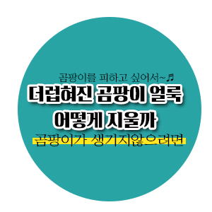  [살림노하우] 더럽혀진 곰팡이 얼룩 어떻게 지울까 (부제: 곰팡이 예방법)