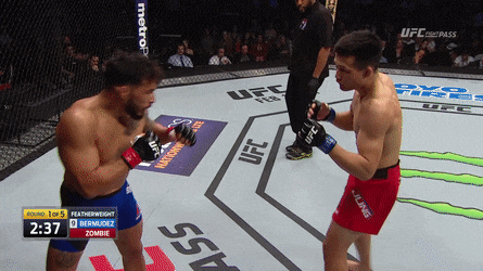 UFC 부산 : 정찬성 VS 프랭키 에드가 예상 분석 UFC 부산 : 정찬성 VS 프랭키 에드가 예상 분석
