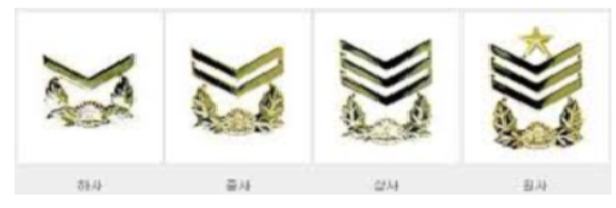  육군 부사관에 대하여