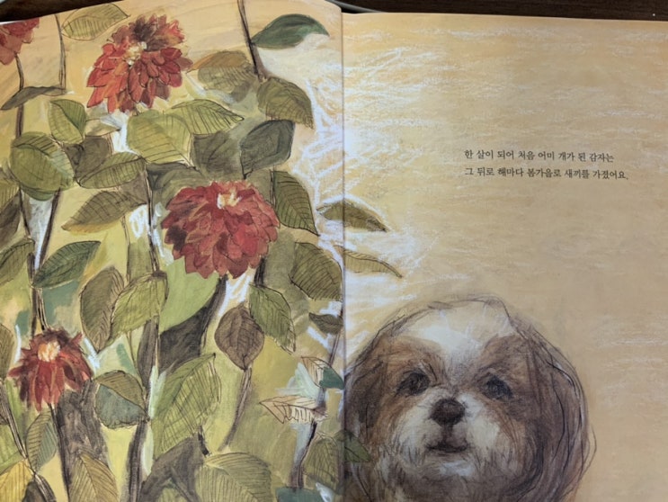  박기범의 <어미 개>