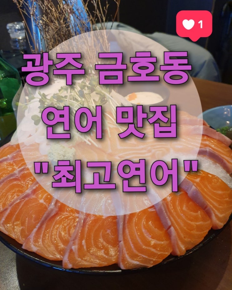  광주 금호동 연어 맛집 "최고연어" (육회/생연어/이자카야/무한리필)