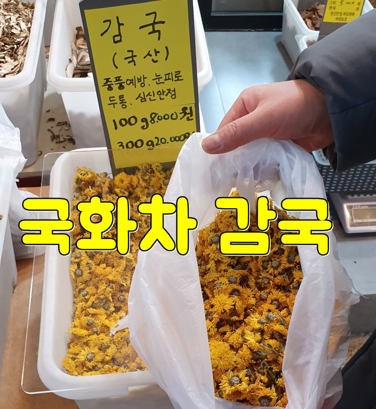  산국 vs 감국 차이(구별법), 국화차 효능