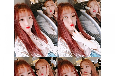 버디아이즈 이미지