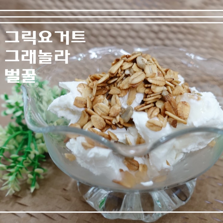  한끼대용 아침간편식 수제 그릭요거트 그래놀라 먹어봐