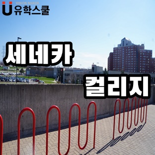  캐나다유학 세네카컬리지 호텔경영학과 자격 조건 안내
