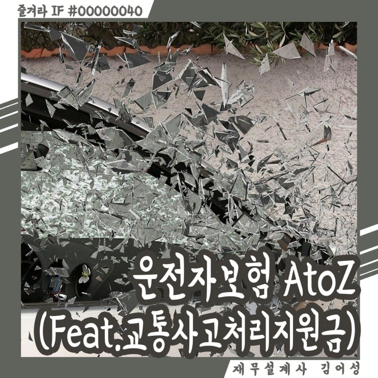 나보다 좋은 남들의 운전자보험 AtoZ (feat.교통사고처리지원금)