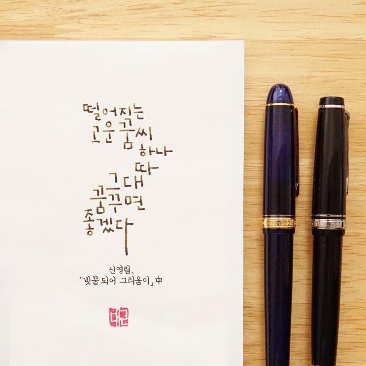  그대 꿈꾸면 좋겠다 (플래티넘 센츄리 샤르트르블루 c닙)