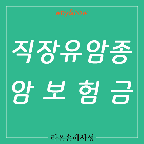  직장 유암종 | 경계성 종양(D37.5) | 일반암 진단비 | 손해사정 성공사례