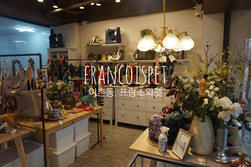 [이촌동/애견용품샵] 아늑하고 아기자기한 고급애견용품샵 프랑소와펫 동부이촌점(FRANCOISPET)