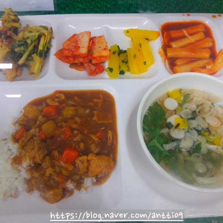  건강 식단  닭고기 하이라이스