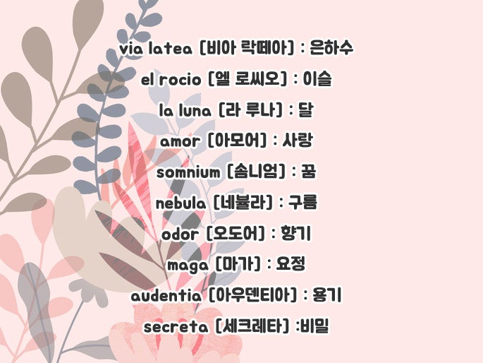 라틴어 예쁜단어 / 명언 모음 깔끔하게 총정리! : 네이버 블로그 라틴어 예쁜단어 / 명언 모음 깔끔하게 총정리! : 네이버 블로그