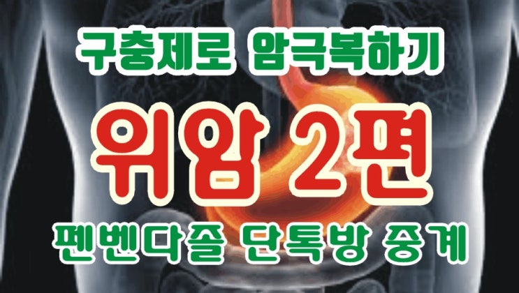  펜벤다졸 후기(60)-12월 위암2편,위암치료효과사례