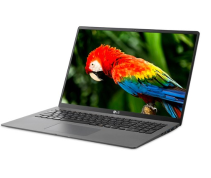  ~1.5일까지 사은품제공이벤트  [사전예약] LG전자 2020년 그램17 노트북 17ZD90N-VX5BK (10세대 i5-1035G7 43.1cm WIN미포함)