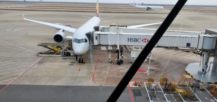  OZ362 상해(PVG) - ICN(인천) A350 탑승기