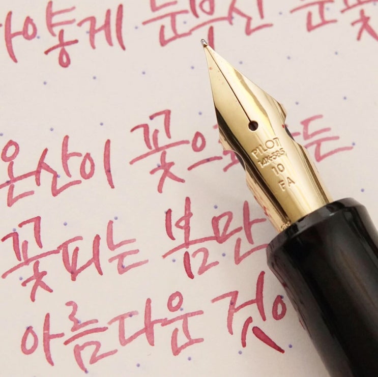  꽃만 꽃이 아니더라 (파이롯트 커스텀 742 fa닙)
