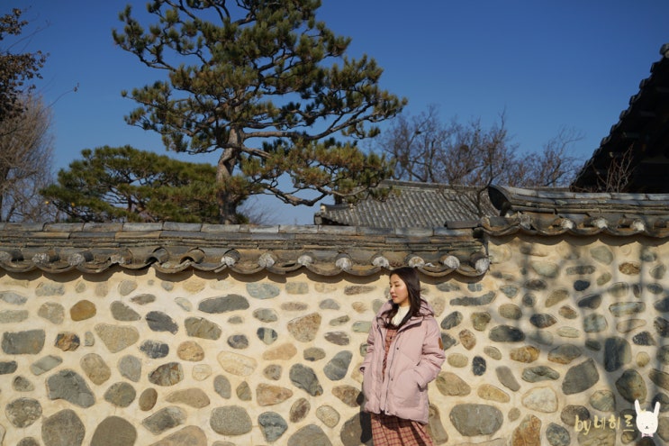 안동 갈만한곳 안동 하회마을 힐링 산책 :) 안동 갈만한곳 안동 하회마을 힐링 산책 :)