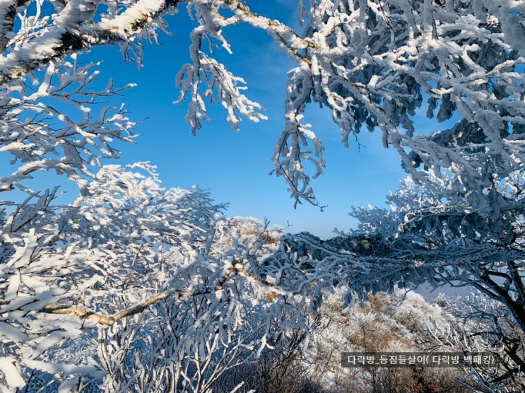  계방산 눈꽃산행_2019.12.16