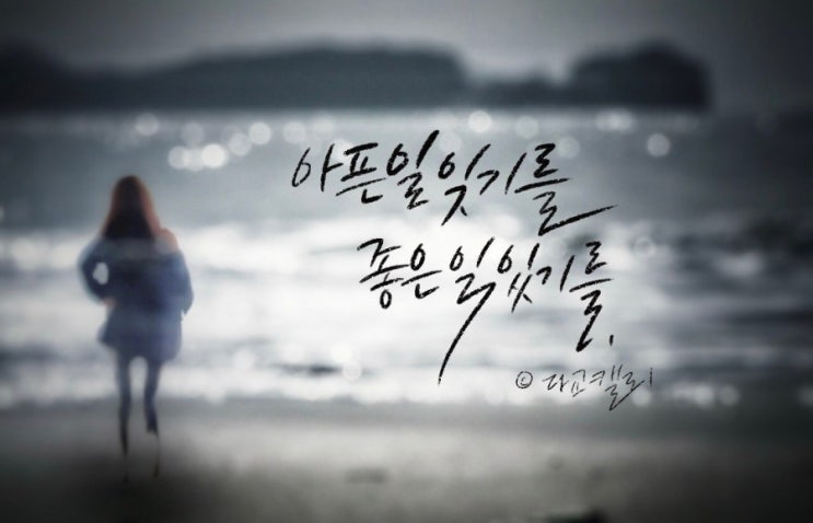  삶을 사랑하라