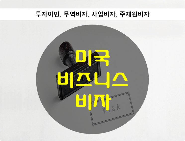  미국 비즈니스 비자