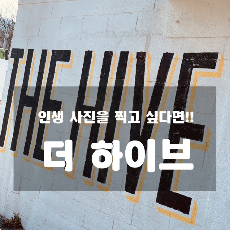 [카페] 인생 사진 찍고 싶다면 바로 여기! 더 하이브!