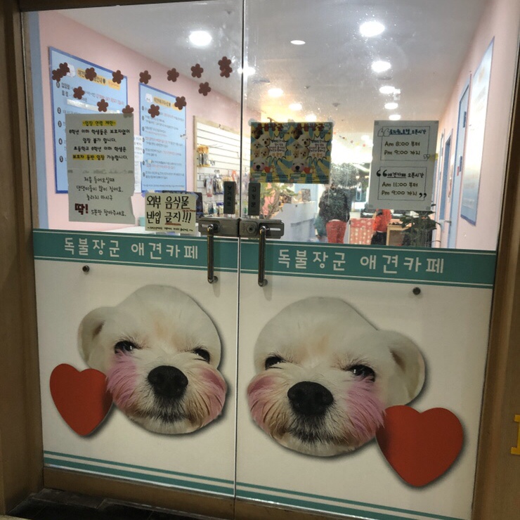  부천 애견카페 독불장군/똥강아지 방문기와 곱창고