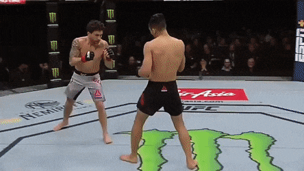 UFC 부산 : 정찬성 vs 에드가 피니쉬 영상(GIF) 및 뒷얘기 UFC 부산 : 정찬성 vs 에드가 피니쉬 영상(GIF) 및 뒷얘기
