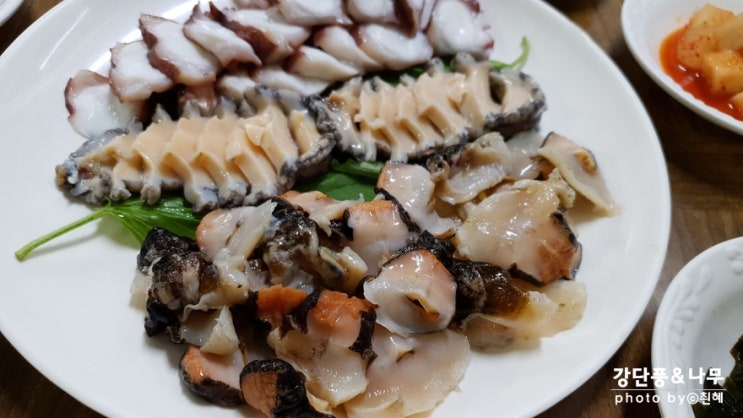  제주 함덕 조천 맛집 잠녀해녀촌 보말죽 해산물 싱싱해