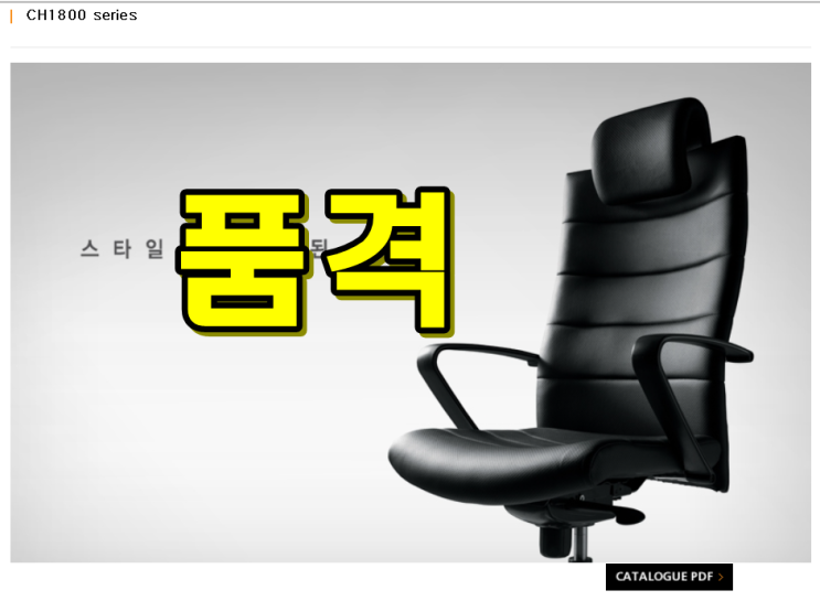  의자에 앉는 자세 바르게 잡아주는 코아스 사무용의자 사용후기