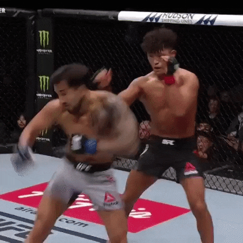 UFC 부산 언더카드 피니쉬 영상(GIF) 및 뒷얘기