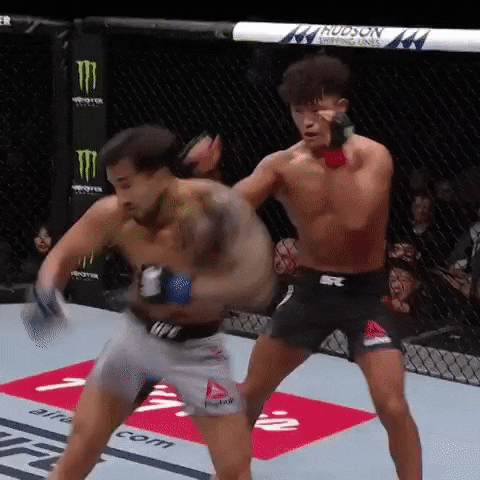 UFC 부산 언더카드 피니쉬 영상(GIF) 및 뒷얘기 UFC 부산 언더카드 피니쉬 영상(GIF) 및 뒷얘기